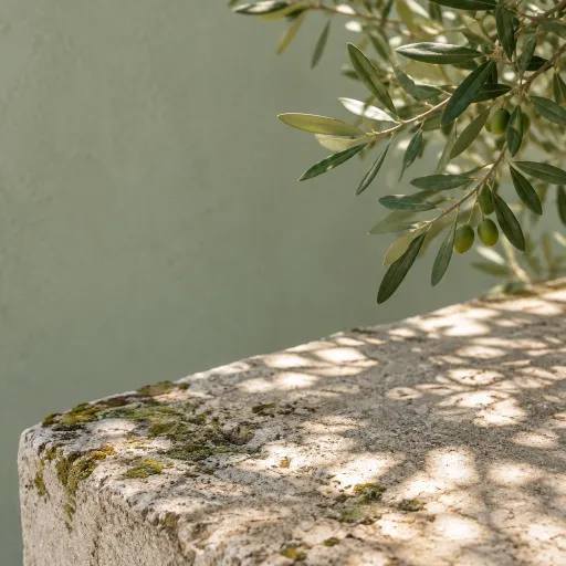 Bodrum hotel escapes for refined seaside stays on the turquoise coast